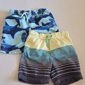 Boys Blue & Aqua Shark and Striped Swim Shorts - Set of 2